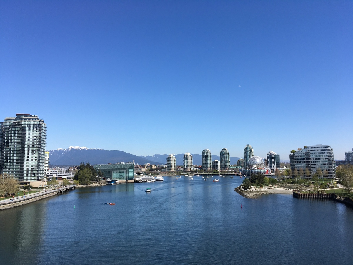 false-creek-summer.jpg