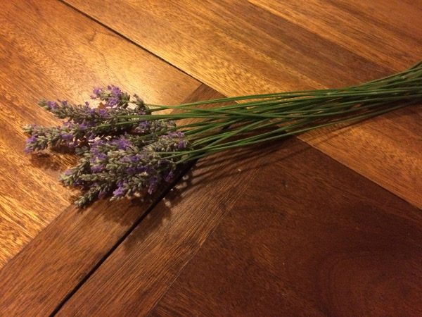 lavender-stems.jpg