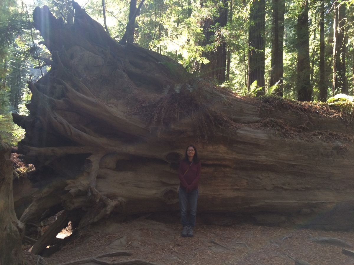 redwood-with-jenny.jpg